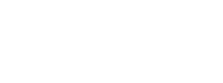 Wild Wyvern Studios